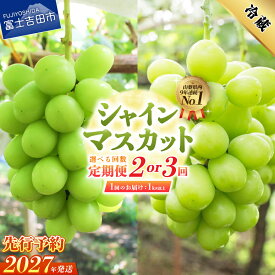 【ふるさと納税】2027年発送 シャインマスカット 定期便 選べる お届け回数 2回 3回 1kg以上 フルーツ ぶどう 山梨県産 シャイン マスカット 新鮮 厳選 濃厚 甘さ 香り 果物 くだもの 送料無料 高レビュー マツコの知らない世界 テレビで紹介 ふるさと納税 ランキング