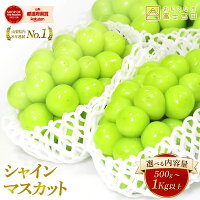 【ふるさと納税】 ふるさと納税 シャインマスカット 数量限定 500g 1...