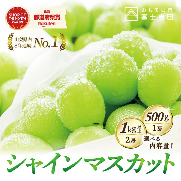 楽天市場】【ふるさと納税】数量限定 シャインマスカット 500g 1kg 2回 