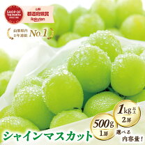 楽天市場】シャインマスカットの通販