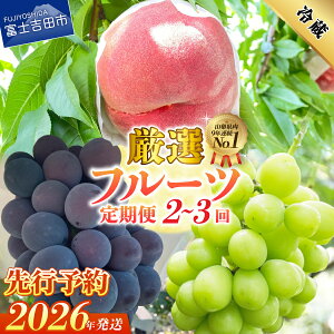 yӂ邳Ɣ[Łz ӂ邳Ɣ[  t[c y2026N s\z  VC}XJbg Ԃǂ Iׂ 2 3 P   uhE 1[ 500gȏ ʕ t[c  