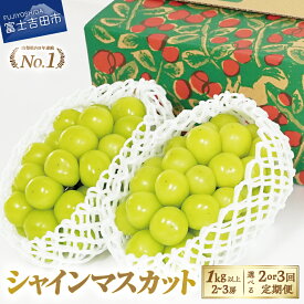 【ふるさと納税】 2026年 先行予約 シャインマスカット 期間限定 数量限定 1kg以上 お試し 1kg以上 期間限定 送料無料 フルーツ 果物 ぶどう マスカット ふるさと納税 厳選 ジューシー 甘さ抜群 富士吉田市 高レビュー ふるさと納税 ランキング
