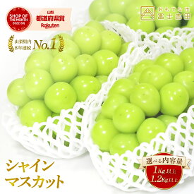 【ふるさと納税】 2026年 先行予約 ふるさと納税 シャインマスカット 期間限定 数量限定 1kg以上 1.2kg以上 お試し フルーツ 果物 くだもの ぶどう ブドウ マスカット 送料無料 高レビュー 厳選 甘さ抜群 ふるさと納税 ランキング 【2026年発送 先行予約】 10000 10,000円