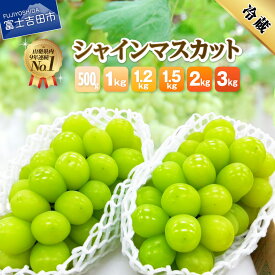 【ふるさと納税】 ★ 総合 フルーツ ランキング「1位獲得！」★ 2026年発送 シャインマスカット 選べる容量 500g 1kg 1.5kg 2kg 3kg ふるさと納税 フルーツ ぶどう 果物 送料無料 山梨県産 2026 旬 大粒 高級 ブドウ 葡萄 富士吉田市 ふるさと納税 【 2026年発送 】