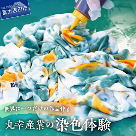 【ふるさと納税】 染色体験 体験チケット 1枚 工業用染色機 Tシャツ ストール のれん タイダイ染め 富士吉田市