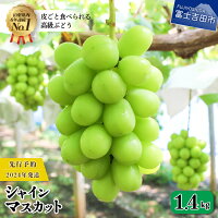 日本一の生産量を誇る山梨県産のぶどう