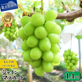 【ふるさと納税】 シャインマスカット 選べる容量 約1.4kg 約2.0kg 2~4房 高級 ぶどう フルーツ 数量限定 期間限定 山梨県産 富士吉田市 葡萄 種なし ブドウ 富士吉田 果物 くだもの シャイン フルーツ王国 先行予約 2025年 冷蔵