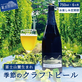 【ふるさと納税】 定期便 お楽しみ 6回 ビール クラフトビール 750ml 季節のクラフトビール シャンパンボトル ワイングラスで飲む BRIGHT BLUE BREWING さけ