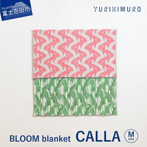yӂ邳Ɣ[Łz uPbg E[ Rbg IׂTCY M 136×136cm L 136×205cm ԕ t J[ o[Vu eLX^C uh v[g Mtg D YURI HIMURO