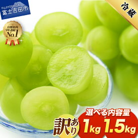 【ふるさと納税】2026年 先行予約 シャインマスカット 訳あり 選べる容量 1kg 2～3房 1.5kg 3～4房 山梨県産 ぶどう 種なし シャイン マスカット ご家庭用 フルーツ 果物 くだもの 送料無料 高レビュー 産地直送 葡萄 2房 3房 4房 高評価 不揃い ふるさと納税 ランキング