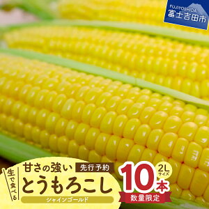 ふるさと納税 とうもろこし その他の野菜 きのこの人気商品 通販 価格比較 価格 Com