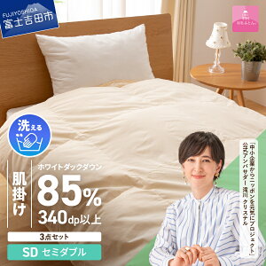 【ふるさと納税】 羽毛布団 掛け布団 セット セミダブル 日本製 洗える 肌掛け 掛け布団カバー 枕カバー 綿100% 3点セット 抗菌 除菌 ウイルス除去 防ダニ 掛けカバー 布団セット 洗濯可 国
