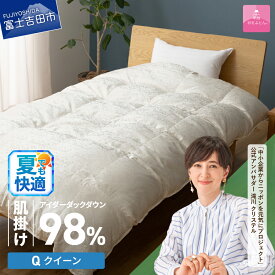 【ふるさと納税】 夏用 羽毛布団 掛け布団 肌掛け アイダーダウン シルクジャガード 選べるサイズ シングル セミダブル ダブル クイーン キング 日本製 シルク100％ アイボリー 手選別 アイダーダックダウン98% 肌掛け 薄手 布団 寝具 国産 ダウンケット 【甲州羽毛ふとん】
