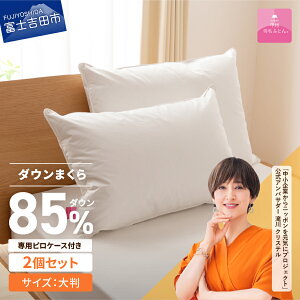 【ふるさと納税】 枕 ダウンまくら 枕カバー セット 選べる個数 1個 2個 50cmx70cm 日本製 綿100% 柔らか ふっくら ボリューム 大判 超長綿 ホテル サテン ピロー ピローケース 新プレミアムダウ