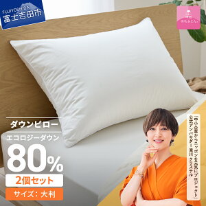 yӂ邳Ɣ[Łz TXeiu SDGs  TCN _Es[ Iׂ傫   唻 1 2 { RۉH RECXH  100 TeD Đ_E80% 43x63cm 70×50cm s