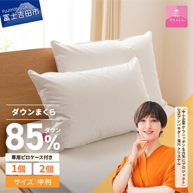 【ふるさと納税】 枕 ダウンまくら 枕カバー セット 43cmx63cm 選べる個数 1個 2個 日本製 綿100％ 柔らか ふっくら ボリューム 中判 超長綿 ホテル サテン ピロー ピローケース 新プレミアムダウンまくら 国産 【甲州羽毛ふとん】