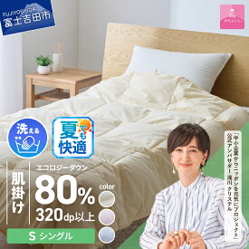 【ふるさと納税】 夏用 サステナブル SDGs 布団 甲州羽毛 軽量 肌掛け 薄手タイプ インナーケット オールシーズン シングル 選べる カラー ベージュ ピンク ブルー 寝具 日用品 保温性 再生ダウン 洗える ふとん リサイクルダウン ベッド ダウンケット 【甲州羽毛ふとん】