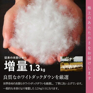 アイテムID:668225の画像3枚目