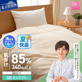 【ふるさと納税】 夏用 羽毛布団 掛け布団 セット セミダブル 日本製 洗える 肌掛け 掛け布団カバー 枕カバー 綿100％ 3点セット 抗菌 除菌 ウイルス除去 防ダニ 掛けカバー 布団セット 洗濯可 国産 衣替え ベッド 暖かい ダウンケット 【甲州羽毛ふとん】