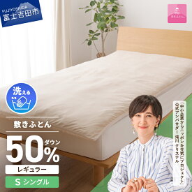 【ふるさと納税】 高反発 シングル 洗える 日本製 3次元スプリング構造体 ダウン敷パッド 三つ折り 高通気性 収納袋 マットレス ベッド 敷き布団 敷パッド 国産 ダウンエアー敷きふとんレギュラー ベッド 【甲州羽毛ふとん】