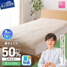 【ふるさと納税】 夏用 高反発 シングル 洗える 日本製 3次元スプリング構造体 ダウン敷パッド 三つ折り 高通気性 収納袋 マットレス ベッド 敷き布団 敷パッド 国産 ダウンエアー敷きふとんレギュラー ベッド 【甲州羽毛ふとん】