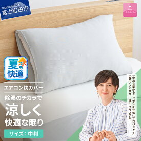 【ふるさと納税】 夏用 枕カバー ピローケース グレー 40×60cm 中判 日本製 ミスティクール 除湿冷却 除湿 夏用 洗える 冷感 ひんやり 涼しい クール エアコン 寝具 ピロー まくら 国産 【甲州羽毛ふとん】