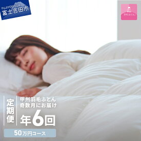 【ふるさと納税】 定期便 羽毛布団 シングル セット 日本製 洗える 本掛け 肌掛け ガーゼケット ダウンエアー敷きふとん 枕 布団 無料回収 掛け布団 布団カバー 布団セット 枕カバー ベッド 国産 ロイヤル 暖かい 【甲州羽毛ふとん】 日用品定期便