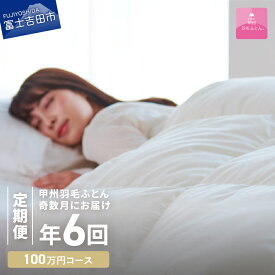 【ふるさと納税】 定期便 羽毛布団 シングル セット 日本製 洗える 本掛け 合い掛け 肌掛け ガーゼケット ダウンエアー敷きふとん 枕 布団 無料回収 掛け布団 布団カバー布団セット 枕カバー 国産 プレミアム 暖かい 【甲州羽毛ふとん】 日用品定期便