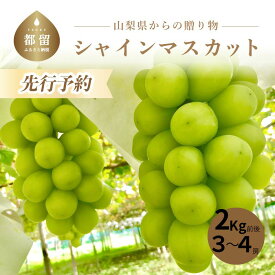 【ふるさと納税】【2026年先行予約】シャインマスカット3～4房（2kg前後）｜送料無料 やまなし 山梨 山梨県 シャイン 新鮮 美味しい 産地直送 贈答用 ギフト 山梨県産 フルーツ 果物 ぶどう 葡萄 ブドウ 旬 【小林農園 】