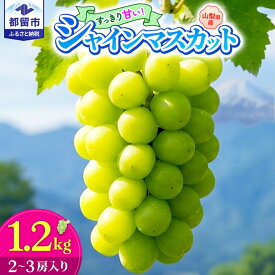 【ふるさと納税】 【2026年発送！先行予約】【山梨県都留市ふるさと納税】クール便配送 山梨県産 シャインマスカット 約1.2kg (2〜3房)
