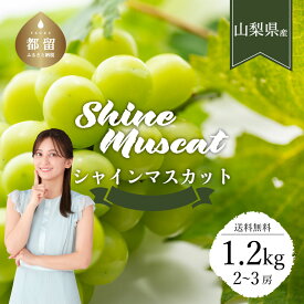 【ふるさと納税】【2025年先行予約】【山梨県都留市ふるさと納税】クール便配送　山梨県産シャインマスカット1.2kg(2〜3房)