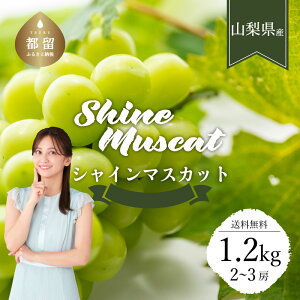 yӂ邳Ɣ[Łzy2026NIs\zyRssӂ邳Ɣ[ŁzN[֔z@RYVC}XJbg1.2kg(2`3[)