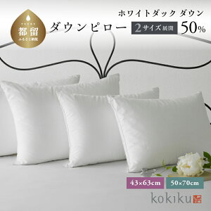 yӂ邳Ɣ[Łzkokiku 50×70cm _Es[ TCY@|| _Es[ Hі OWA[ȑ傫߃TCY KxȒe ̎  100 Sn悢  VRf Y