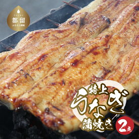 【ふるさと納税】【おいしい訳あり！】うなぎのかば焼き うなぎの蒲焼（半カット）2尾　380g以上　湯煎　温めるだけ 冷凍 真空パック 人気 お試し