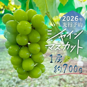 yӂ邳Ɣ[Łzy2026Ns\zVC}XJbg 1[i700gj@|| VC}XJbg ґ fU[g i F lC  ΂ RY _ƒ Ȃ ʌ  R