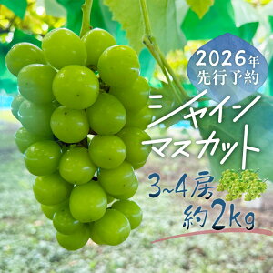 yӂ邳Ɣ[Łzy2026Ns\zVC}XJbg 3-4[@i2.0kgj@|| VC}XJbg ґ fU[g i F lC  ΂ RY _ƒ Ȃ ʌ 