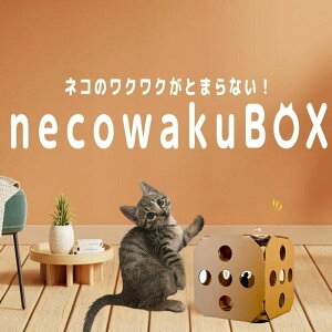 yӂ邳Ɣ[ŁznecowakuBOX@||  ЃGgbv L _{[  ÁX L V XgX y ANeBu y gȒP   v[g 