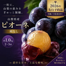 【ふるさと納税】 【2026年先行予約】山梨県産 種なし ピオーネ 2〜3房(約1.0Kg） 8月中旬以降お届け 送料無料 山梨 やまなし ブドウ 葡萄 ピオーネ 新鮮 甘い 美味しい ジューシー 朝採れ ぶどう たねない 種無し 黒ぶどう 【冷蔵】黒ぶどう