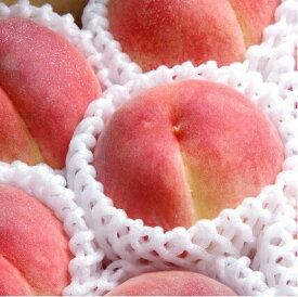 【数量限定！】【ふるさと納税】山梨県産 朝採り桃2kg(5～8玉） 品種おまかせでその時に一番美味しい桃を農家が厳選！日川白鳳、浅間白桃、なつっこ、夢みずき、あかつき 他 ※7月上旬～8月中旬頃 順次発送　もも 果物 朝採り 産地直送 桃 新鮮 やまなし 山梨 送料無料