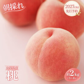 【ふるさと納税】 桃 約2kg 5〜8玉 山梨県産 朝採れ 2027年 先行予約 クール便 フルーツ 果物 もも モモ 品種おまかせ 数量限定 期間限定 山梨県 都留市