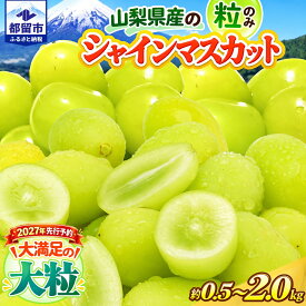 【ふるさと納税】 【2027年発送】 シャインマスカット 粒 山梨県産 選べる4容量 約500g 約1.3kg 約1.5kg 約2.0kg 冷蔵 フルーツ 果物 ぶどう ブドウ 葡萄 シャイン マスカット 8月下旬以降順次発送 アズールヤード 山梨県 都留市