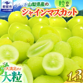 【ふるさと納税】 【2026年先行予約】山梨県産 シャインマスカット 粒 約1.3kg 送料無料 やまなし 山梨 山梨県 シャイン 新鮮 美味しい 産地直送 家庭用 山梨県産 フルーツ 果物 ぶどう 葡萄 ブドウ 旬 【都留市】