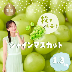 yӂ邳Ɣ[Łzy2025NIV[YzVC}XJbg1.3kg@ij@VC}XJbg Ԃǂ R  t[c lC  ̂܂