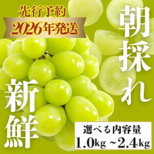 �y�ӂ邳�Ɣ[�Łz�y���Ԍ���z�R�����Y �V���C���}�X�J�b�g ��1.0kg�`�I�ׂ�ő�2.4kg�b��1.2kg�͊�t10,000�~�i12/31�܂Łj���b2026�N��s�\��b�s���s�m�①�n