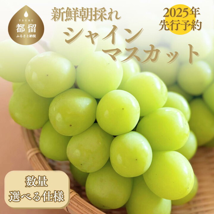 楽天市場】【ふるさと納税】【2025年 先行予約】山梨県産 シャイン 