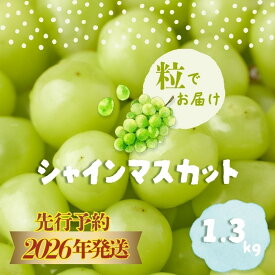 【ふるさと納税】【2026年先行予約】山梨県産 シャインマスカット 粒 約1.3kg 送料無料 やまなし 山梨 山梨県 シャイン 新鮮 美味しい 産地直送 家庭用 山梨県産 フルーツ 果物 ぶどう 葡萄 ブドウ 旬 【都留市】