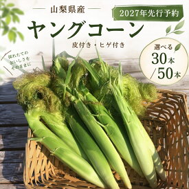 【ふるさと納税】 ヤングコーン 選べる 30本 50本 山梨県 都留市産 ゴールドラッシュ【 2027年 先行予約 】 もぎたて発送 ヒゲ付き とうもろこし トウモロコシ 炭香ファーム