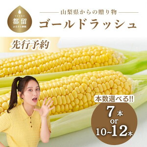 yӂ邳Ɣ[Łzy2026Ns\zRssY S[hbVb7{/10`12{Iׂ VN ̂ Ĕ Â Ƃ낱 gERV Yn yYt@[