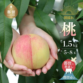 【ふるさと納税】【2024年 先行予約】日本一の産地 山梨県産　朝採れ桃約 1.5kg (5～8玉）| 山梨県 都留市産 都留の桃 数量限定 産地直送 山梨直送 送料無料