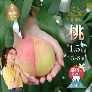 yӂ邳Ɣ[Łzy2026N s\z{̎Yn RY@̂꓍ 1.5kgȏ (5`7ʁj| R ssY s̓ ʌ Yn R @@@